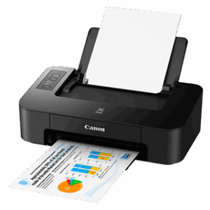Canon TS207