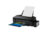 Epson L1800 Up To A3 Paper (Tabung Tinta Infus Resmi Epson) (Print Only)